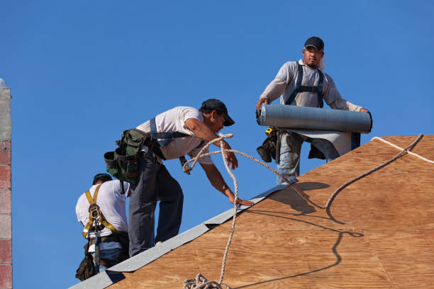 Best Roof Gutter Cleaning  in East Glenville, NY